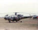 Alouette III and Wasp. Ysterplaat Airshow 1982. Photo  Danie van den Berg