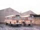 Guy J SD CB44517 Bay PTL 834  CB44528 Bay PTL 837 Port Elizabeth Bay Depot - Photo Stan Hughes 1977
