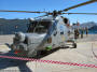 AgustaWestland Super Lynx 300 SAN-193 Navy Open Day 2008 Photos  Danie van den Berg