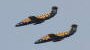 Aero Vodochody L29 - Sasol Flying Tigers 3