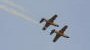Aero Vodochody L29 - Sasol Flying Tigers 4