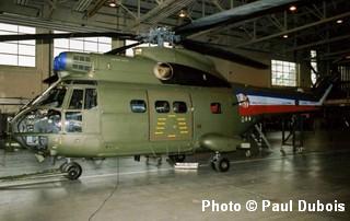 Puma ZJ954 aka 144 seen at RAF Benson, May 2006. Note colours for celebrating the 90th Anniversary of 33 SQN RAF.