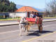 heritage_day_paarl_2003_2_ck.JPG