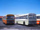 Complete Vehicles  awaiting delivery [L:211 R: Ford School Bus] PE Busbodies Works - Photo Stan Hughes 1977