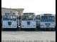 Algoa Bus Company - Perl Road Depot line up of buses