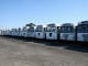 Algoa Bus Company - Perl Road Depot line up of buses