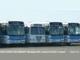 Algoa Bus Company - Perl Road Depot line up of buses