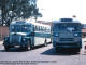 International Lodestar 1800  ND24501 / Mercedes ND233045 Durban - Photo Stan Hughes 1977