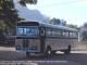 Leyland Guy J SD Bus Bodies CJ29631 Paarl PTL 2127 Between Strand and Stellenbosch - Stan Hughes 1977