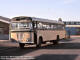 Leyland Guy J SD CJ29731 P 2240 Paarl - Destination - Froggy Pond - Stan Hughes 1977