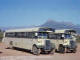 Leyland OPS4/5 CL3280 B2133 / CL712 B2130 B.PTL Strand Stan Hughes 1977