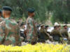 Jan Smuts Remembrance Day Parade - Cape Town 24th May 2009 72