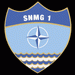 SNMG1 Badge