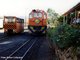 91-006 and inspectors trolley at Patensie Station, 4th April 1999, Swedish tour group -  - Photo Peter Burton Collection