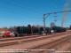 gmam_4079_nylstroom_rg06.JPG
