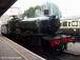 Dartmouth & Paigntons loco - Paignton Station