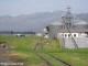 ceres_kaap_agri_private_sidings_dk06.JPG