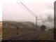 15F 3094 Fog Panpoort 