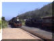 Outeniqua Choo-Tjoe Cross Sedgefield