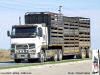 Volvo FH12 Cattle truck.  Photo Robert Adams